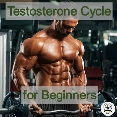 one cycle of steroids results|First Steroid Cycle – Beginners Guide to Safe Steroid .